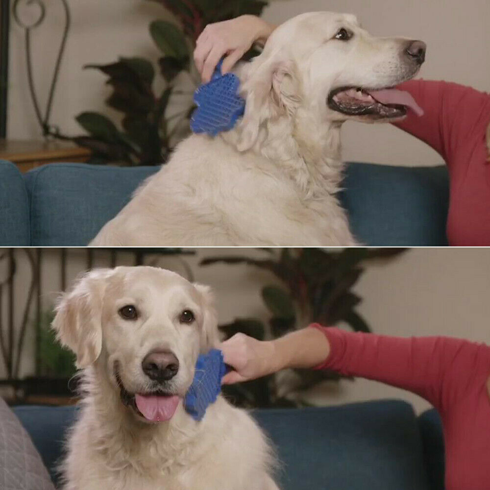 pet hair remover brush gentle pet grooming brush