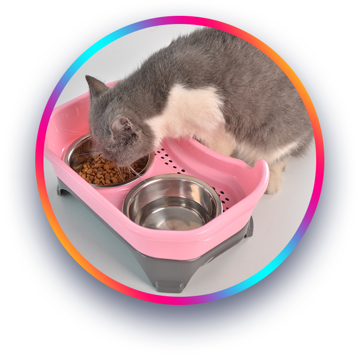 Bark & Purr Trendy Bowls
