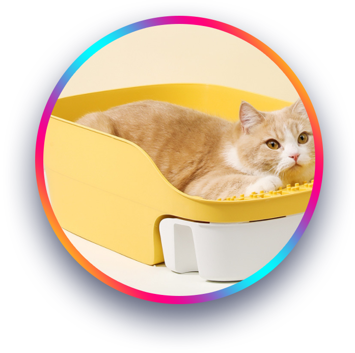 Bark & Purr Top Sellers