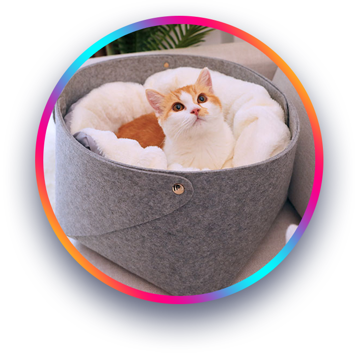 Bark & Purr Dream Beds