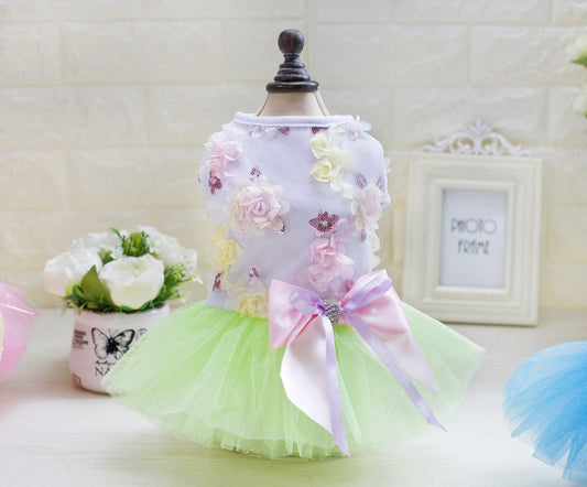 teddy dog pet dress