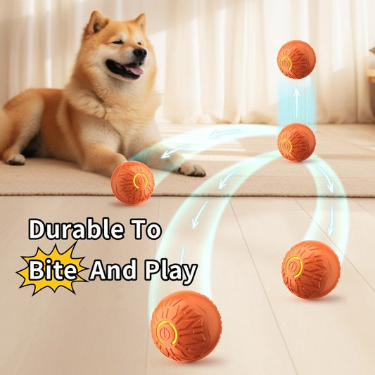 PupBounce Luminous Ball