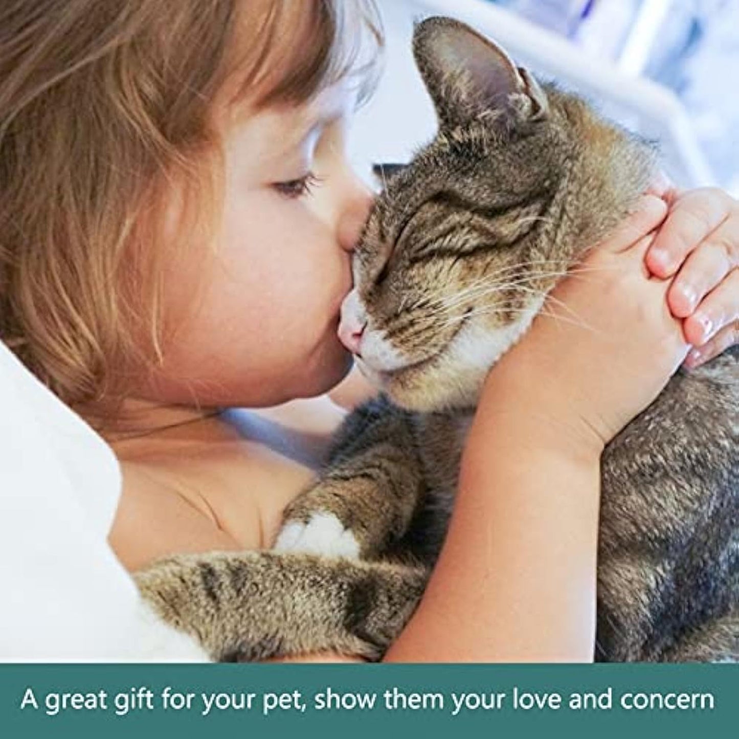 The Ultimate Food & Water Feeder for Your Pets