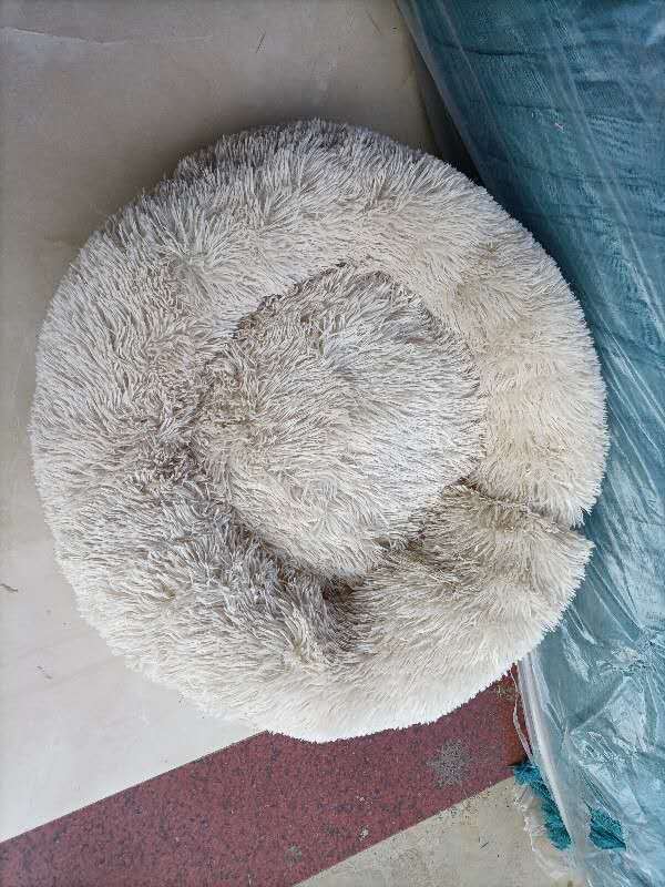 pet sleep bed