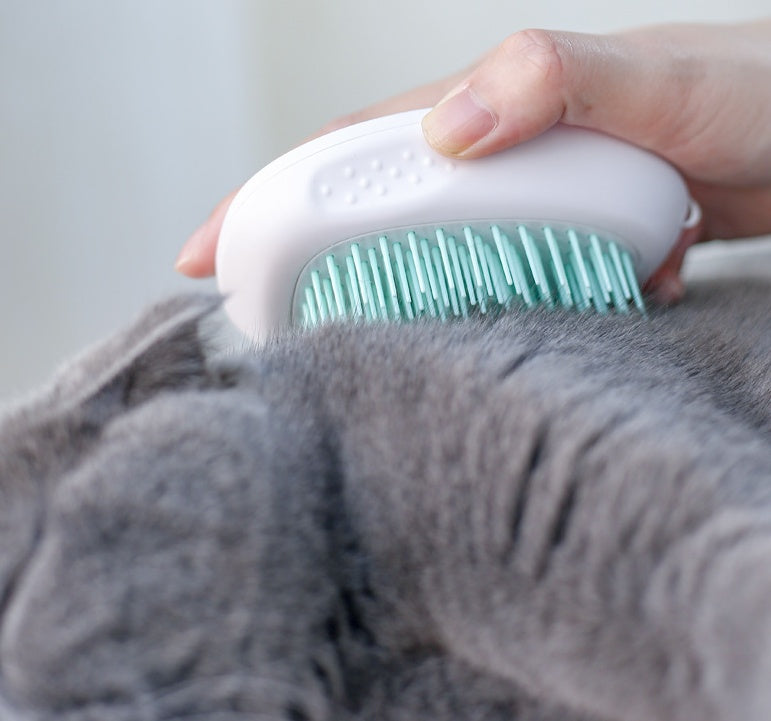 brush brush cat hair white pet