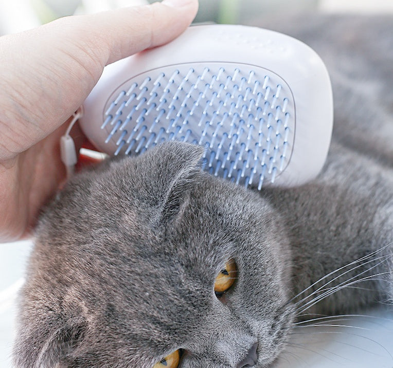 brush brush cat hair white pet