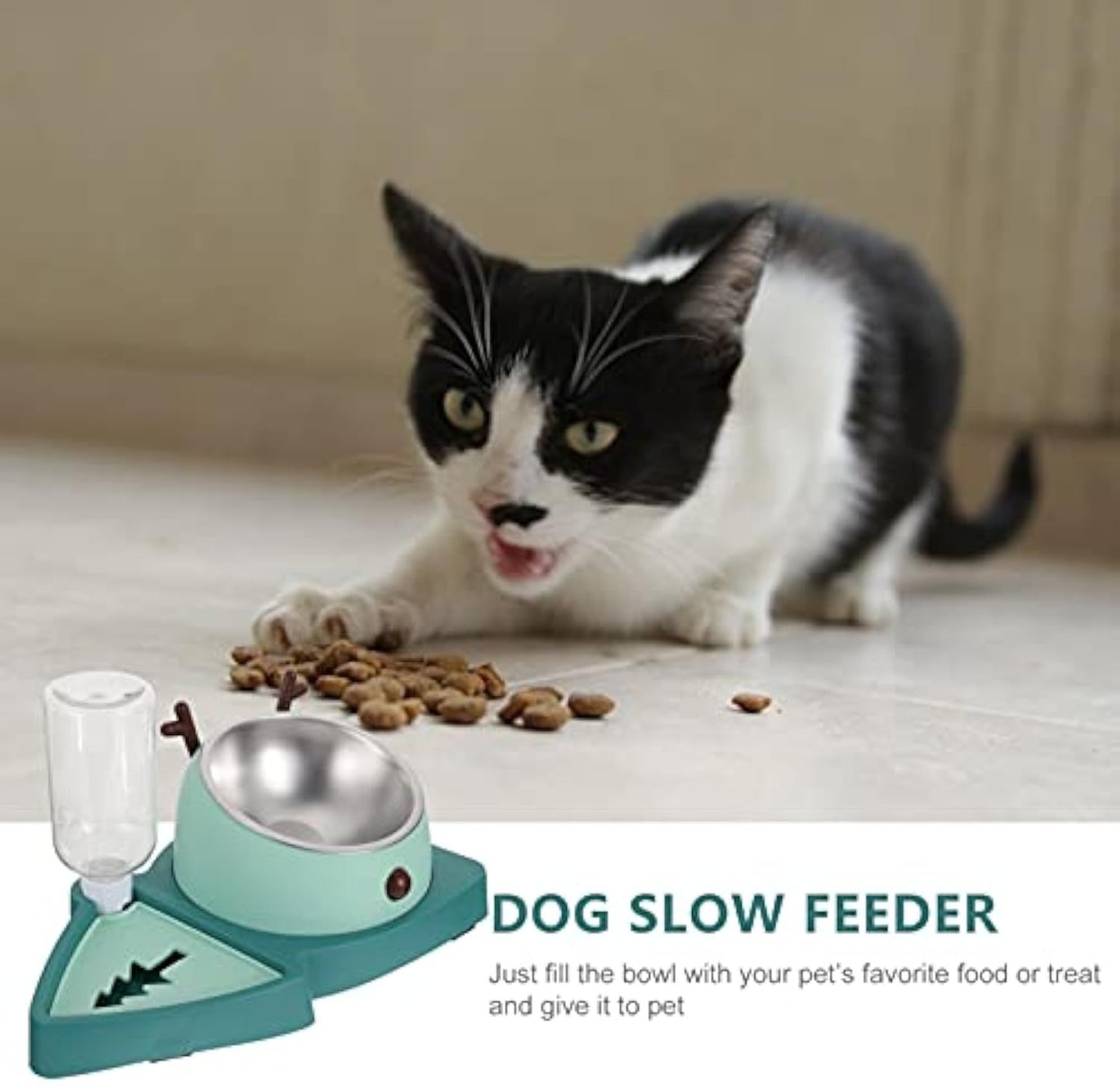 The Ultimate Food & Water Feeder for Your Pets